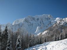 Klik za večjo sliko